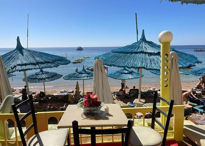 Resort Sharm Holiday Resort 4*
